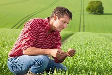 ingenieros agronomo