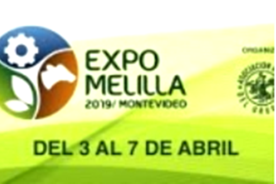 melilla expo