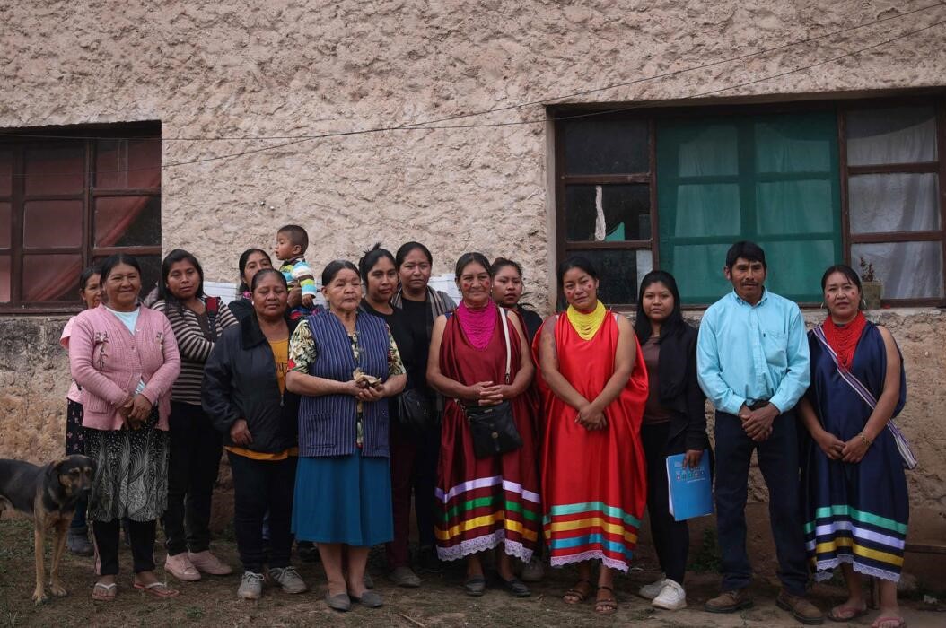 mujeres abejas