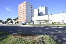 paisaje sin palmeras