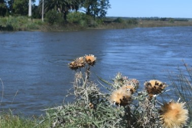 productores rurales