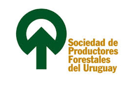 sector productivo