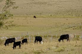 sequía no tiene un peso