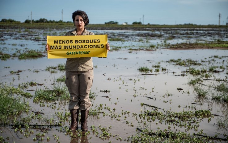 ecologista Greenpeace