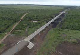 Puente ruta 30