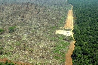 amazonas