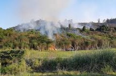 campo salus incendio