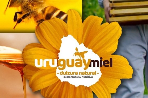 miel uruguaya