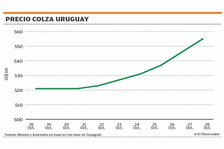 precio de la colza