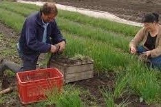 productores familiares