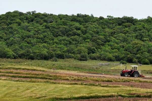 tractor agro agricultura