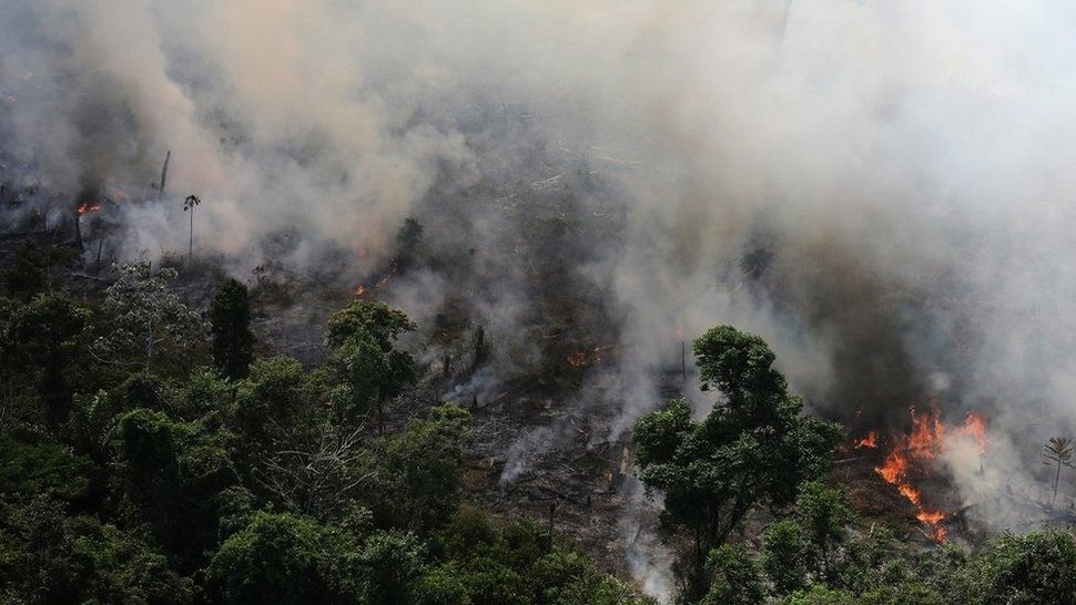 humo uruguay