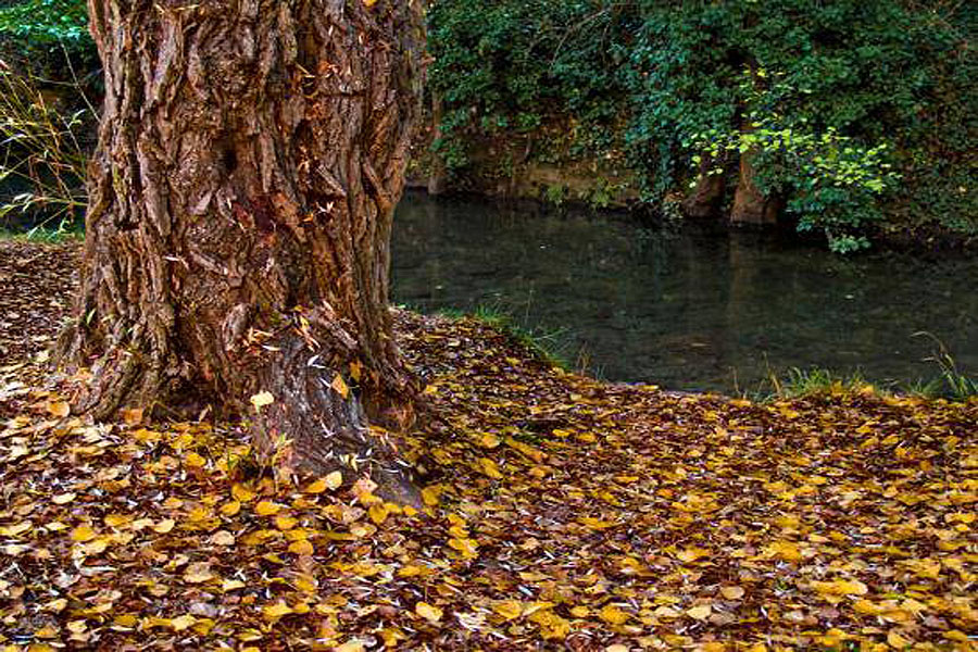 otoño villaverde