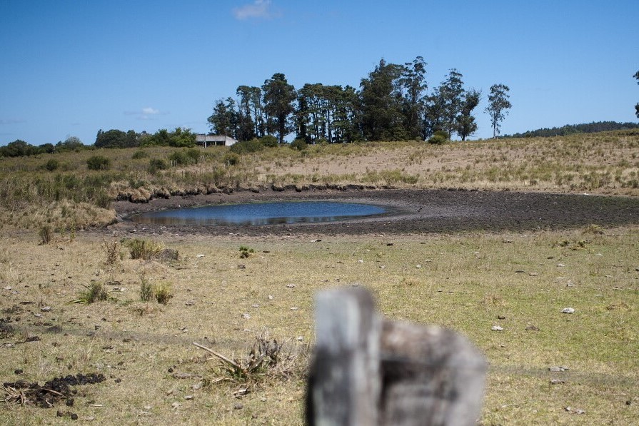 seco minas