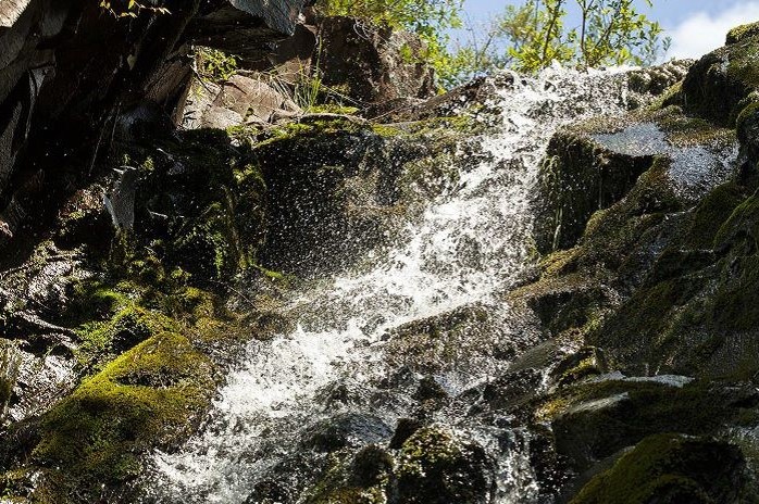 cuidado del agua