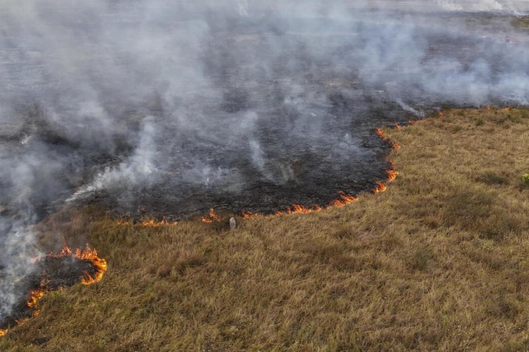 incendio forestal