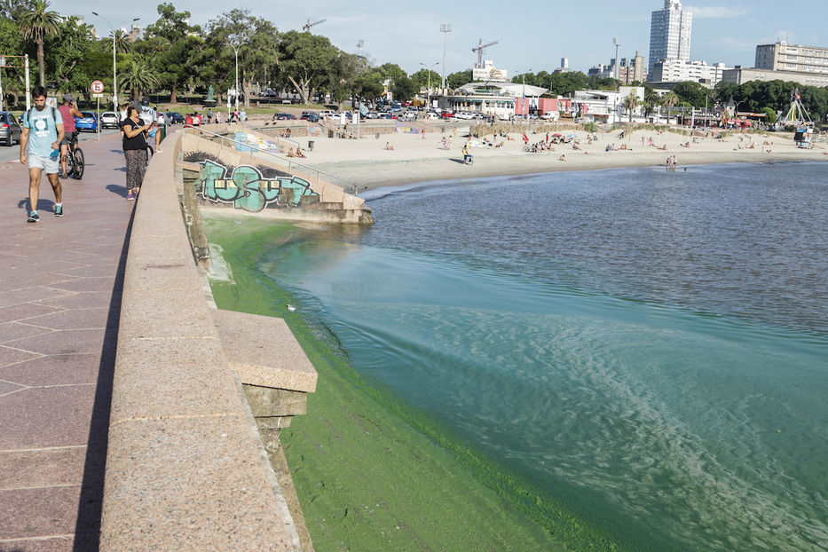 Medio Ambiente