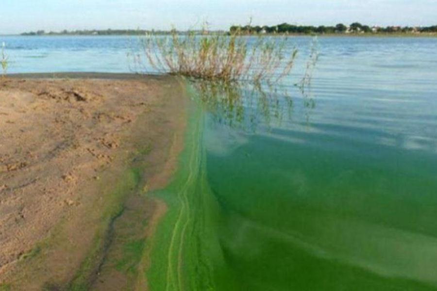 contaminacion rio negro