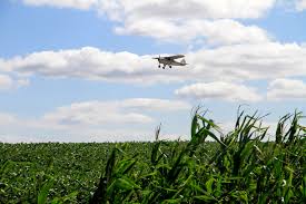 insecticidas quimicos