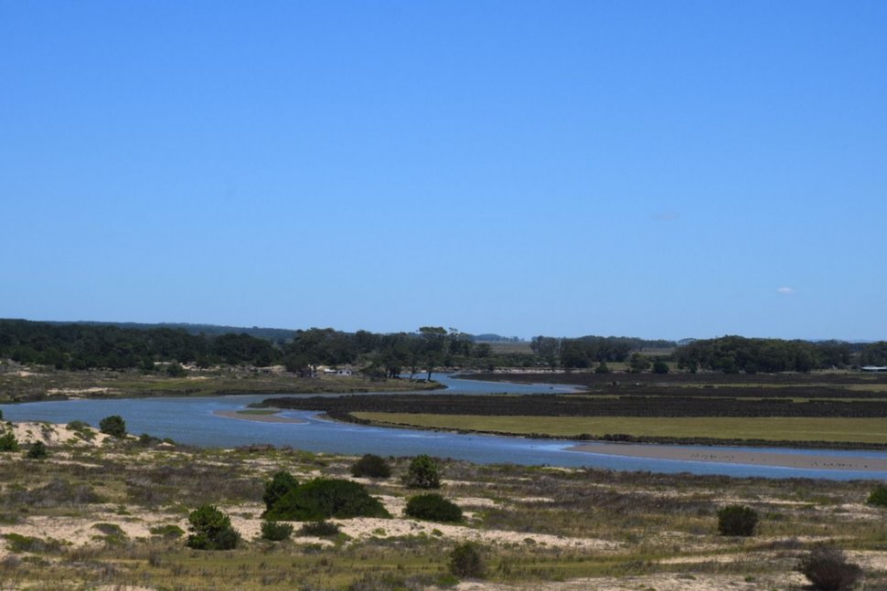 laguna rocha