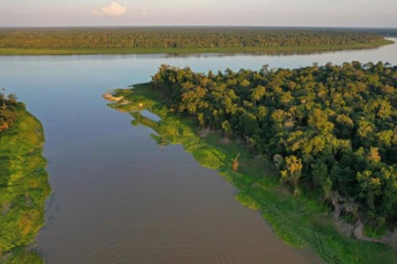 deforestación de la Amazonía brasileña