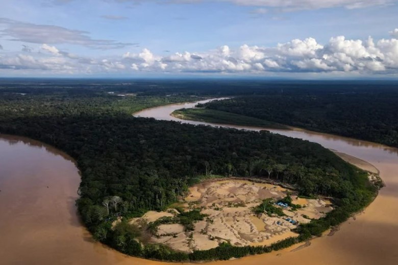 deforestación y de los combustibles fósiles