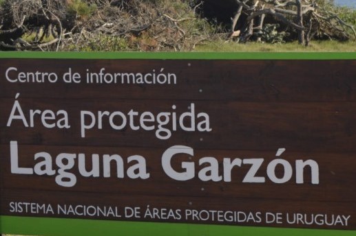 laguna garzon