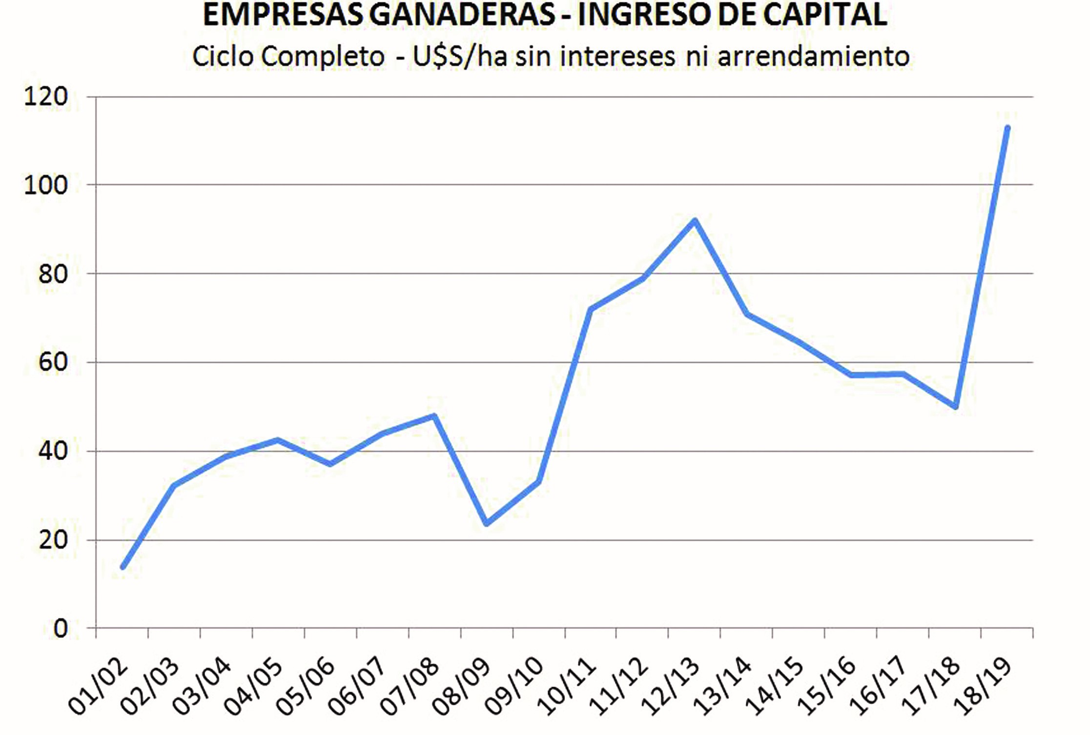 Imagen 11