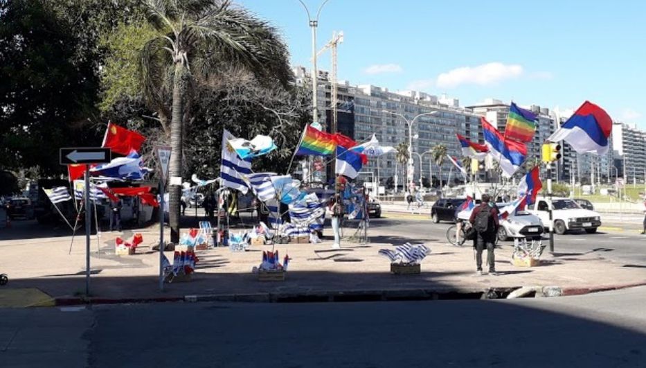 banderas politicas