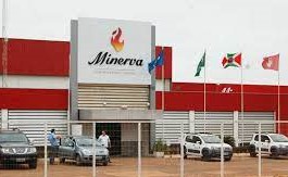 minervas5