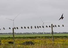 Cambio en mercado eléctrico