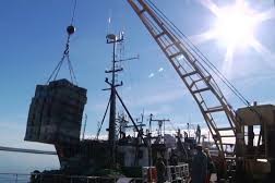 precio en los combustibles