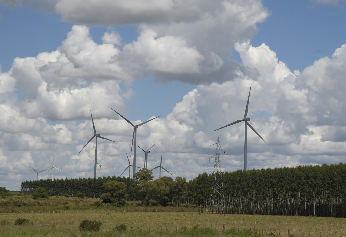 Molinos en el parque eólico