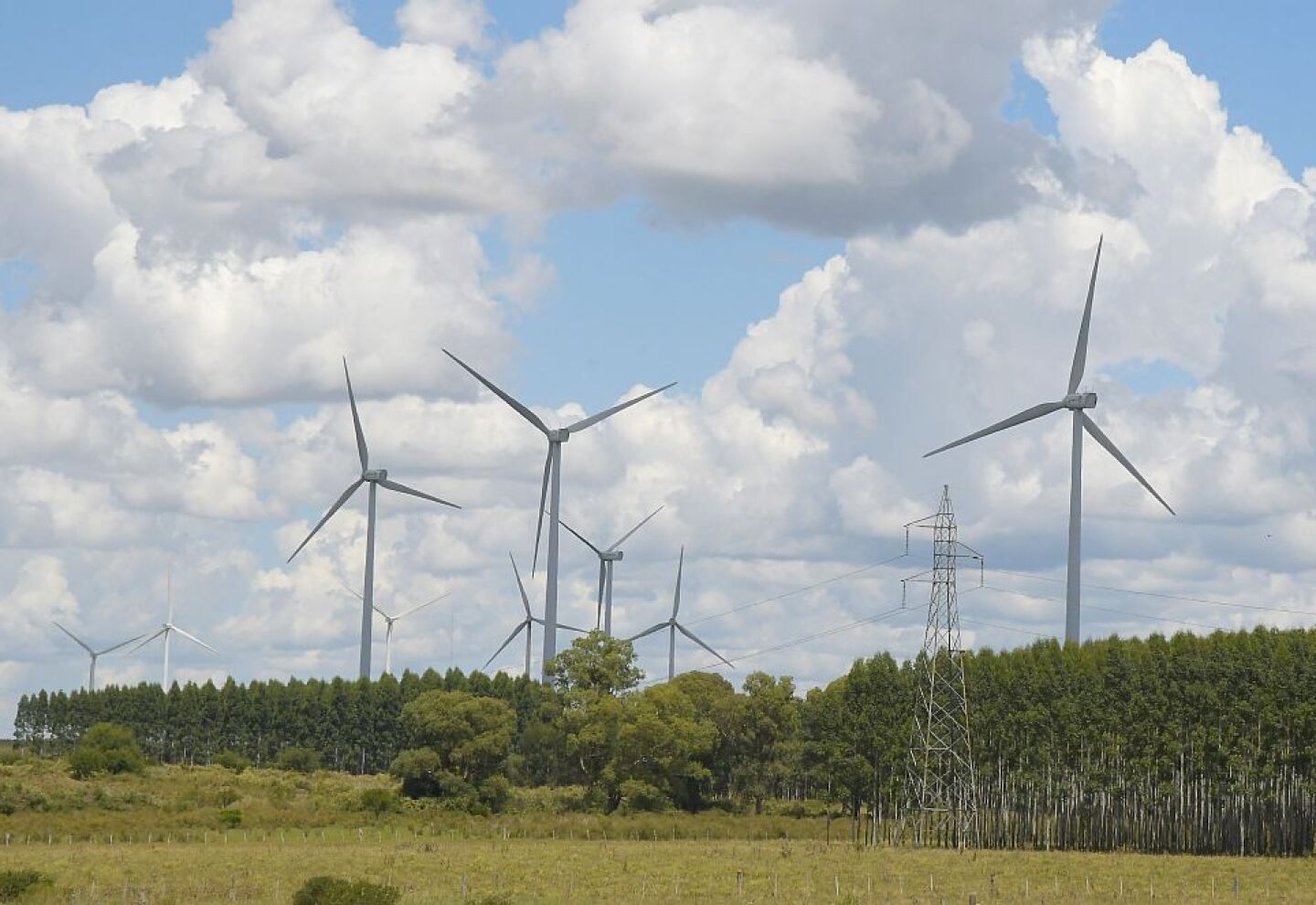 Parque eólico en Tacuarembó