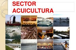 acuicultura