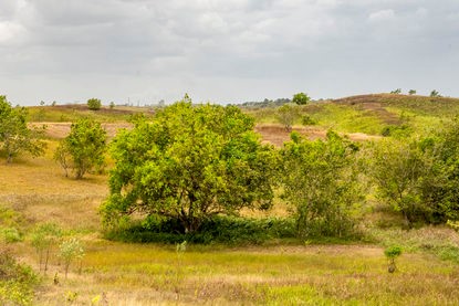 ecológica