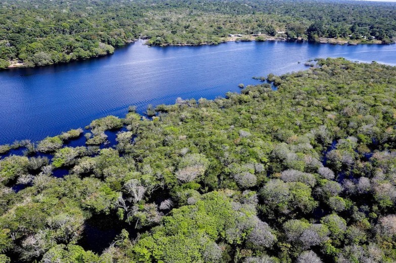 Degradación Amazonia