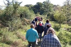 Dirección Forestal invita bosque nativo