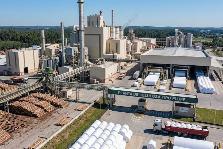 FORESTACIÓN E INDUSTRIA