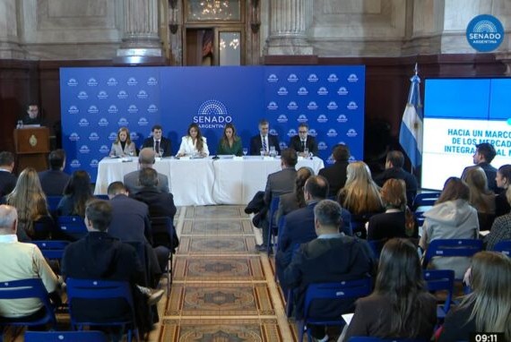 Mercado de Carbono en el Senado