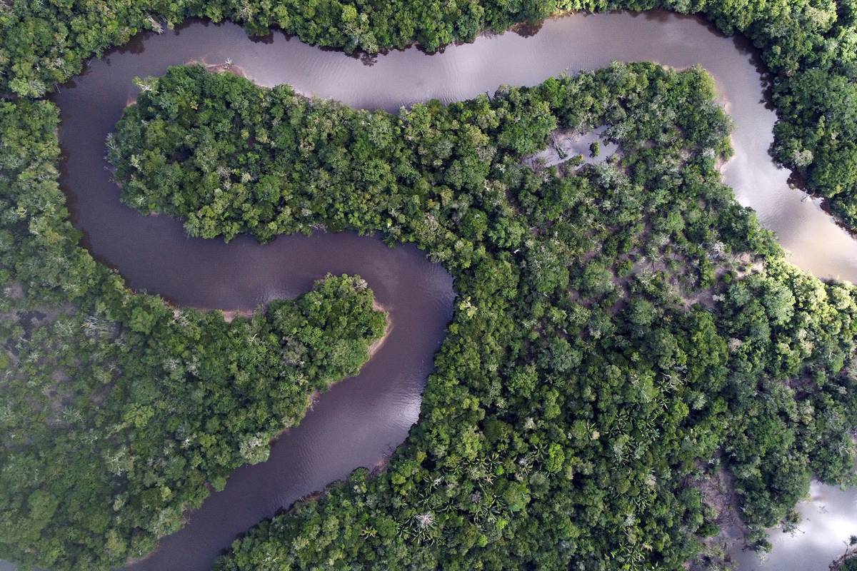 amazonas