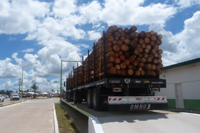 Parque Forestoindustrial