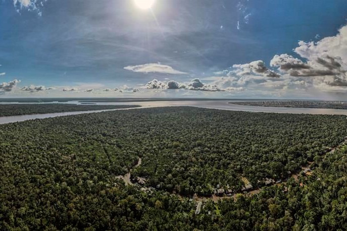 Amazonía brasileña