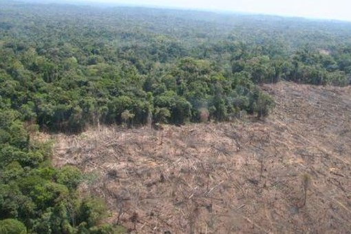 Deforestacion amazonas