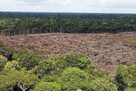 Deforestación en Brasil