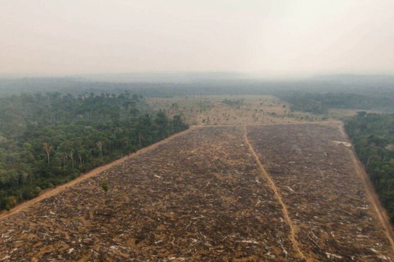 La Amazonia