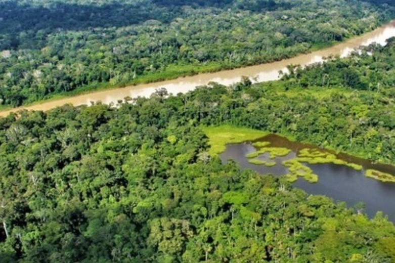 peru amazonia