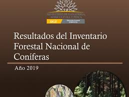 cartografia forestal