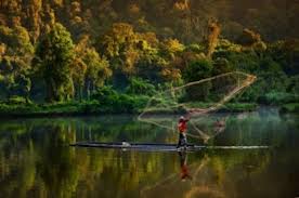 biodiversidad bosques