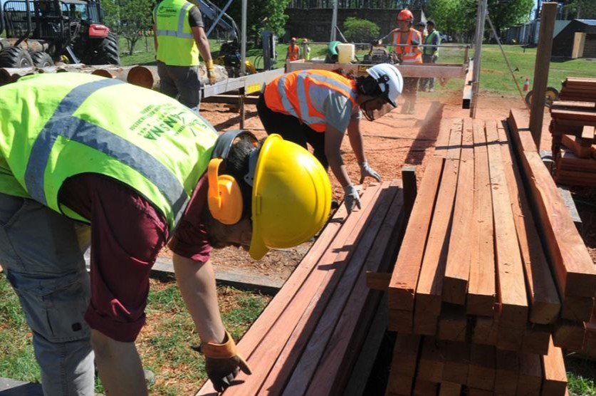 curso forestal